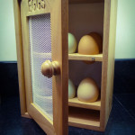 aaeggs2_