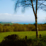 aaview1_